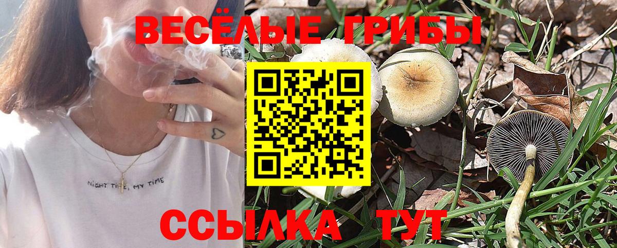 Псилоцибиновые грибы мицелий Архангельск