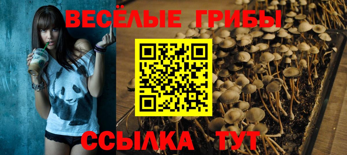 Псилоцибиновые грибы мухоморы  Вход с VPN  Архангельск 