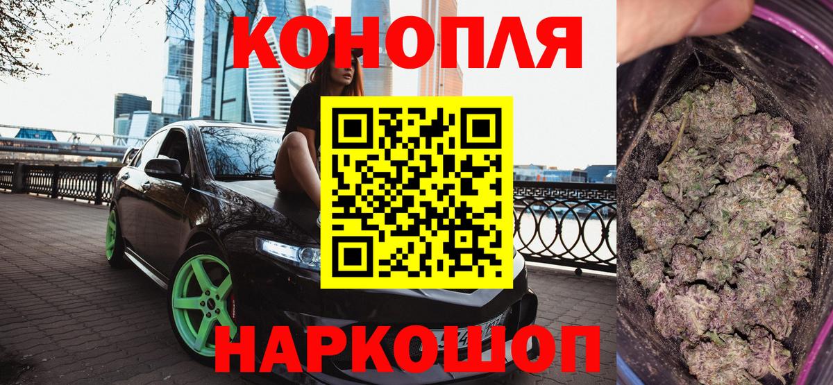 Бошки Шишки план Архангельск